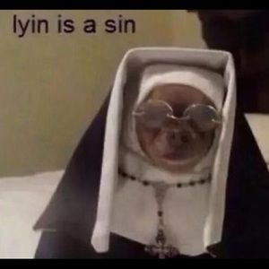 Meet your Posher, Gil